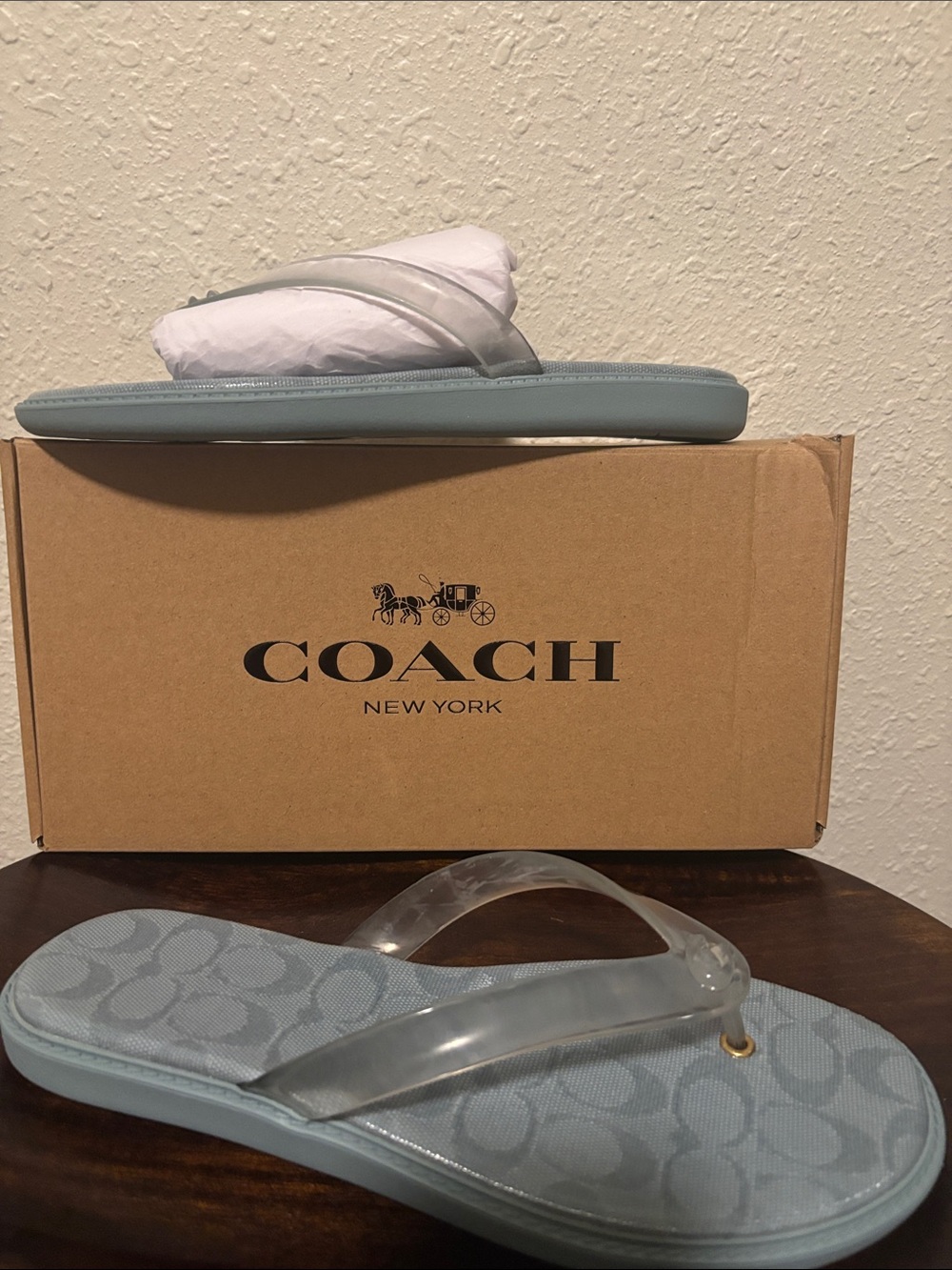 Coach  women’s Light Blue Logo Jelly Strap Flip Flops